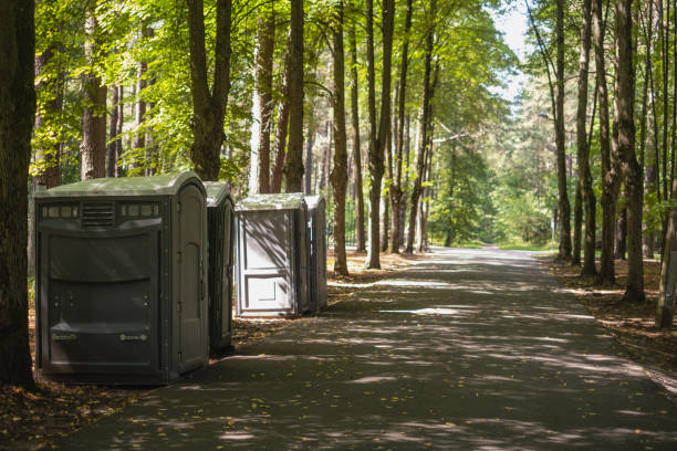 Best Best portable toilet rental  in Hampstead, NC